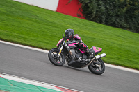 03-02-2019-Grantham-Pegasus-Trial-Stainby;donington-no-limits-trackday;donington-park-photographs;donington-trackday-photographs;enduro-digital-images;eventdigitalimages;no-limits-trackdays;peter-wileman-photography;trackday-digital-images;trackday-photos